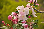 春暖花开