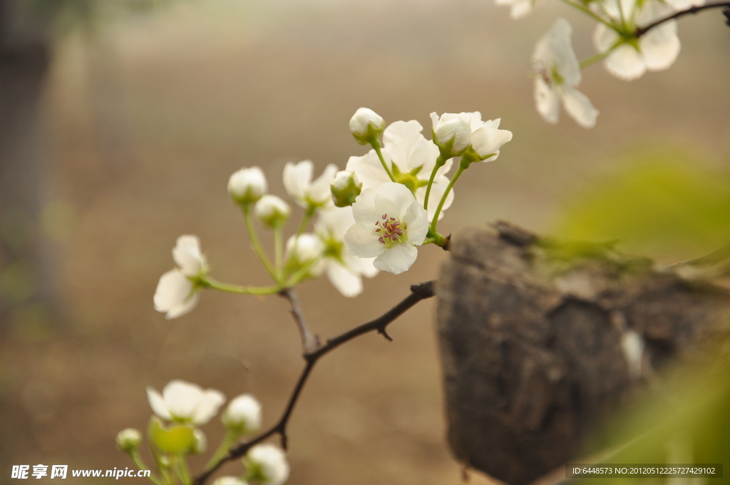 春暖花开