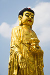 哈尔滨极乐寺 佛像