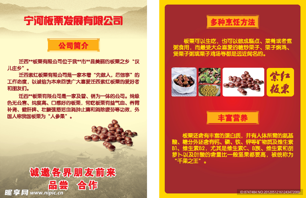 板栗宣传单