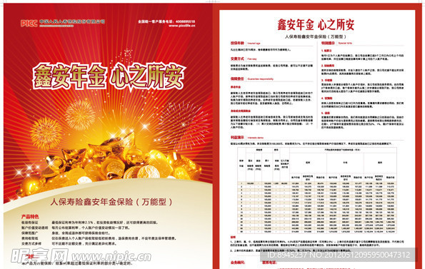 中国人保鑫安年金DM宣传单
