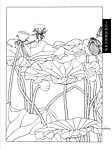 工笔荷花白描画谱