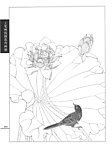工笔荷花白描画谱