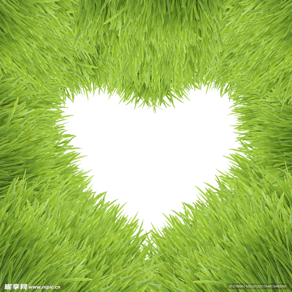 青草心创意设计