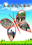 学校版面