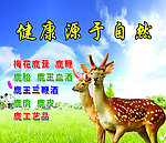 圣鹿源