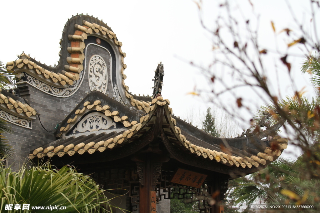屋顶