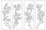 牡丹刻绘图