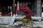 花洲书院