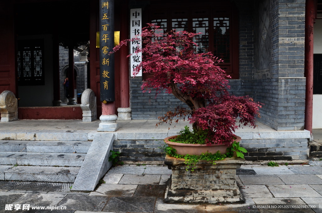 花洲书院