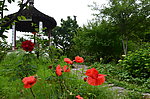 花洲书院