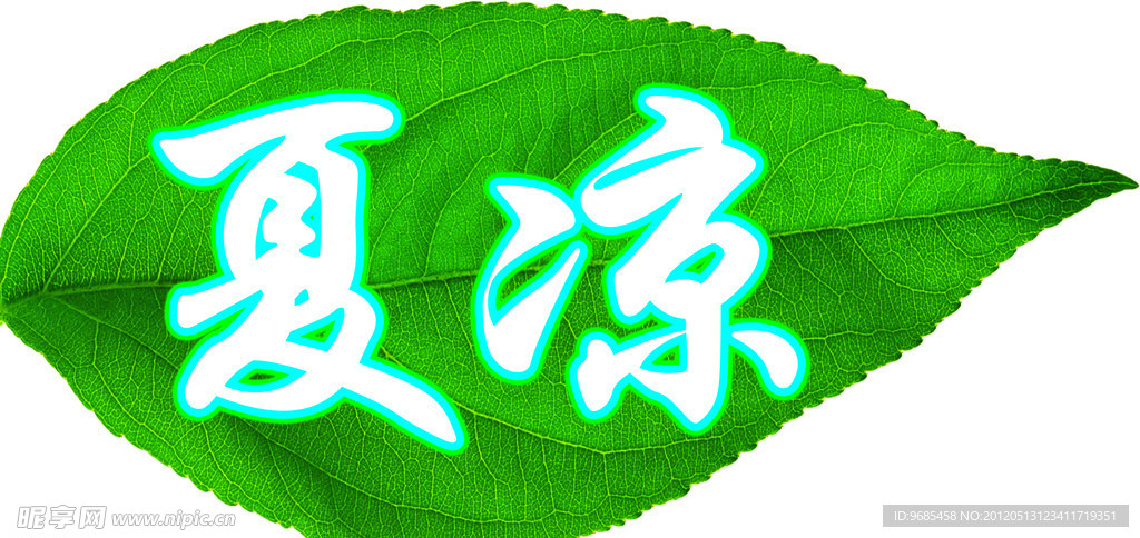 夏凉树叶