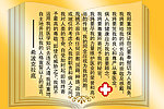 医生宣言