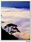 黄山