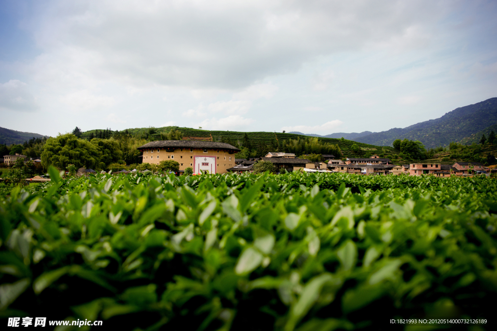 云水谣风景