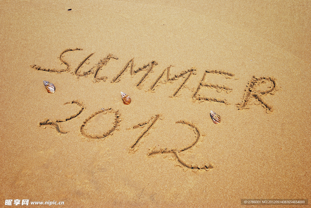 海滩 夏天 2012