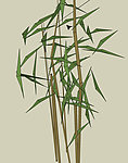 竹子