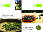 茶叶产品手册设计