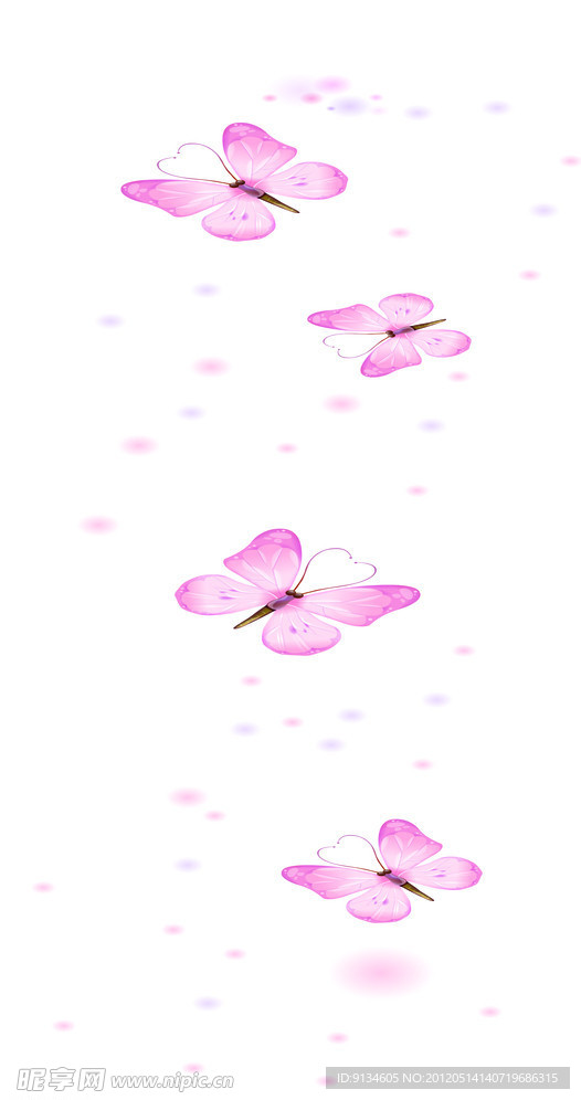 蝴蝶
