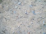 地面杂草摄影素材资料
