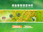 病虫害查询机课件