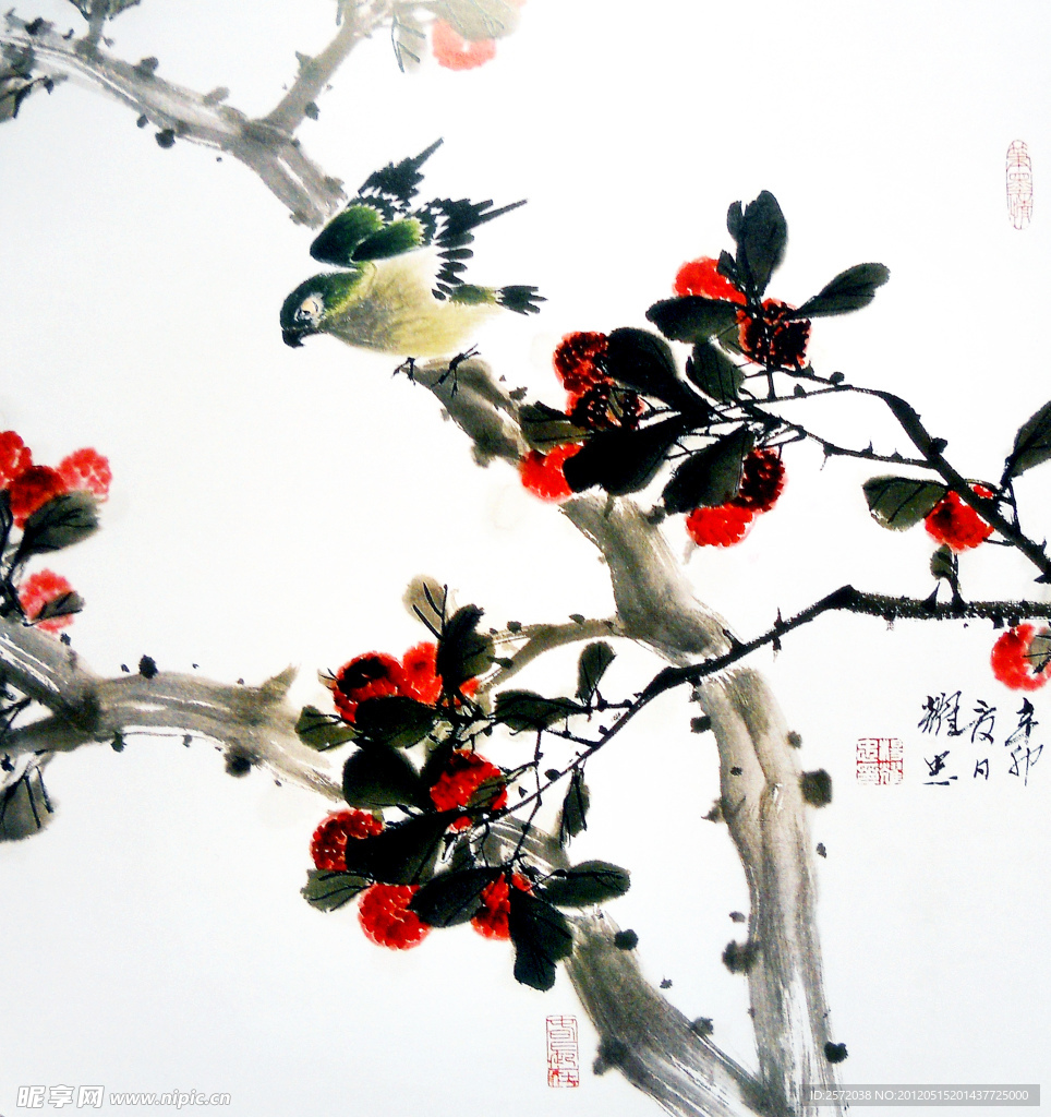 杨梅果香引禽来