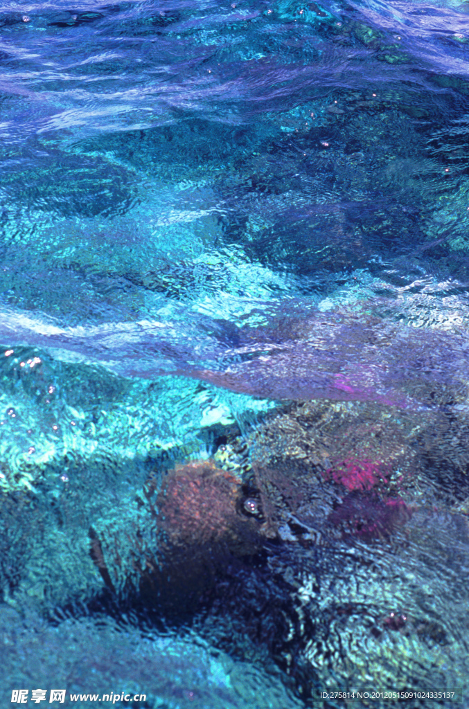 海水