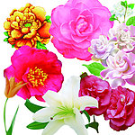 鲜花失量图