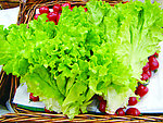 生菜