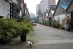 坦克库 狗狗