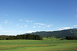原野