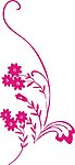 花纹