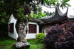 花洲书院