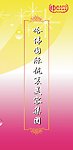 美容三折页