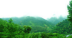 云雾高山