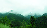 云雾高山