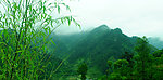 云雾高山