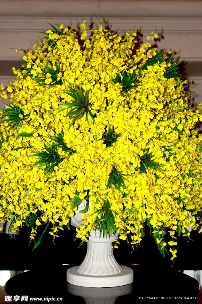 花草