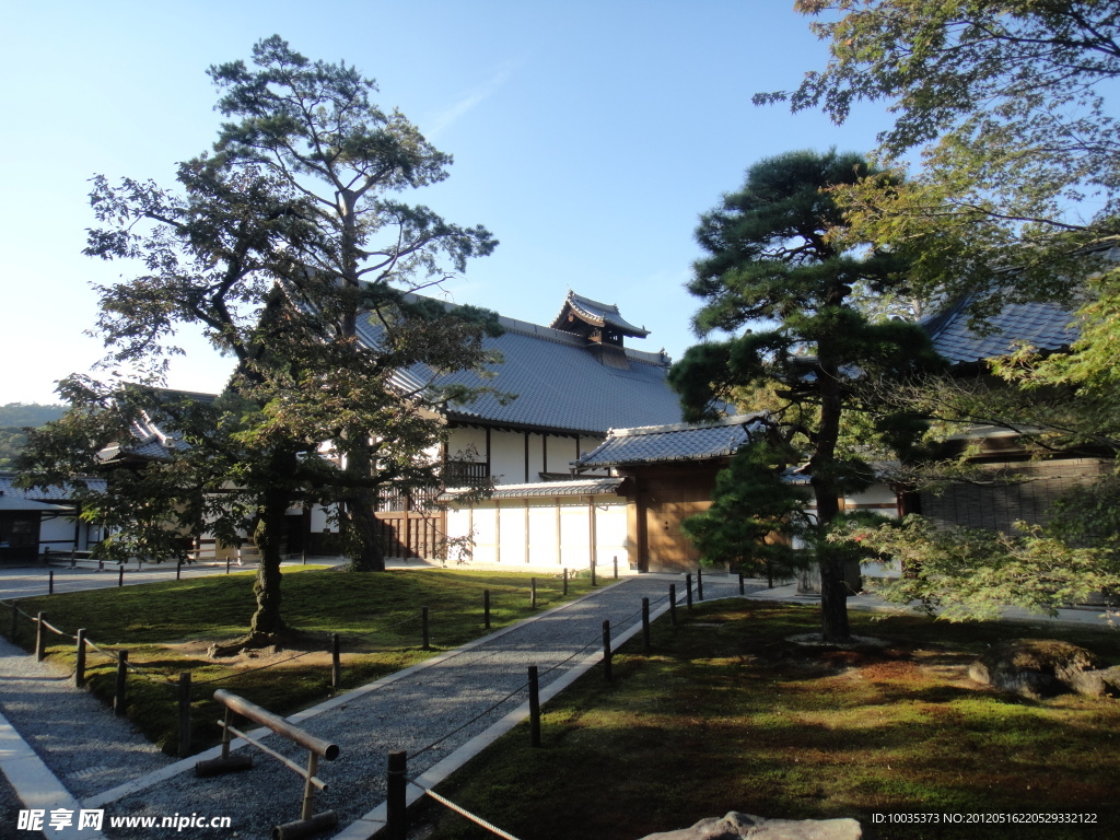 松树 木屋