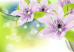 浪漫梦幻花纹花朵 花卡