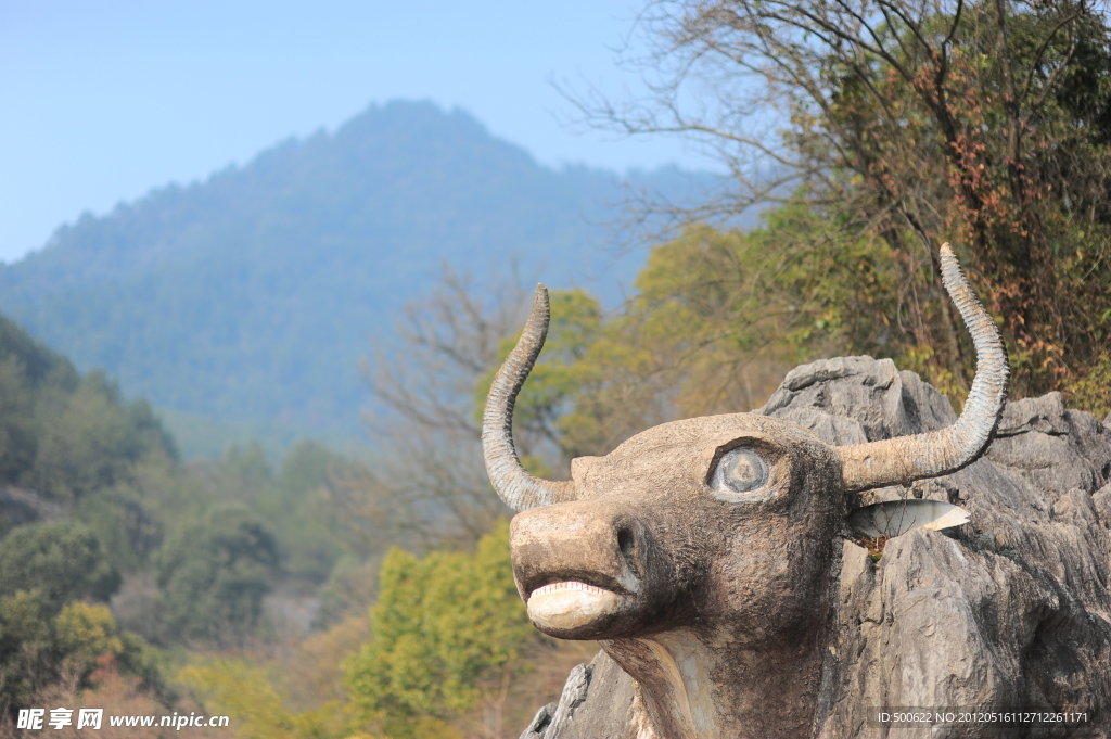 千岛湖 神牛