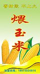 煨玉米