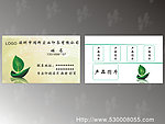 绿色名片