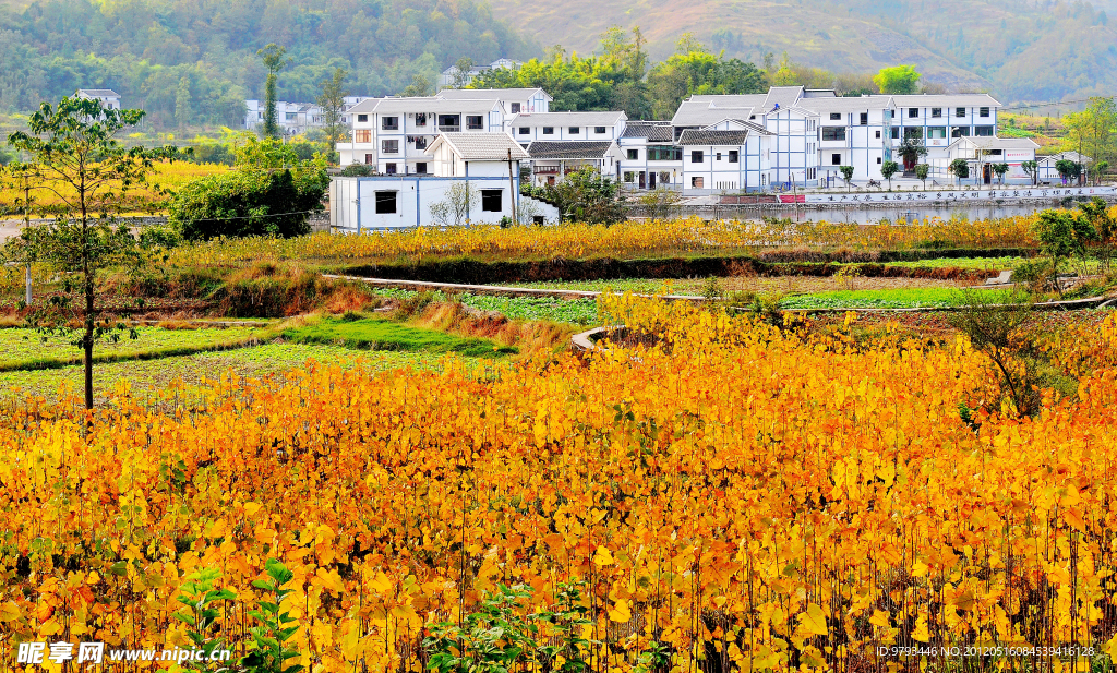 永城最美中华村