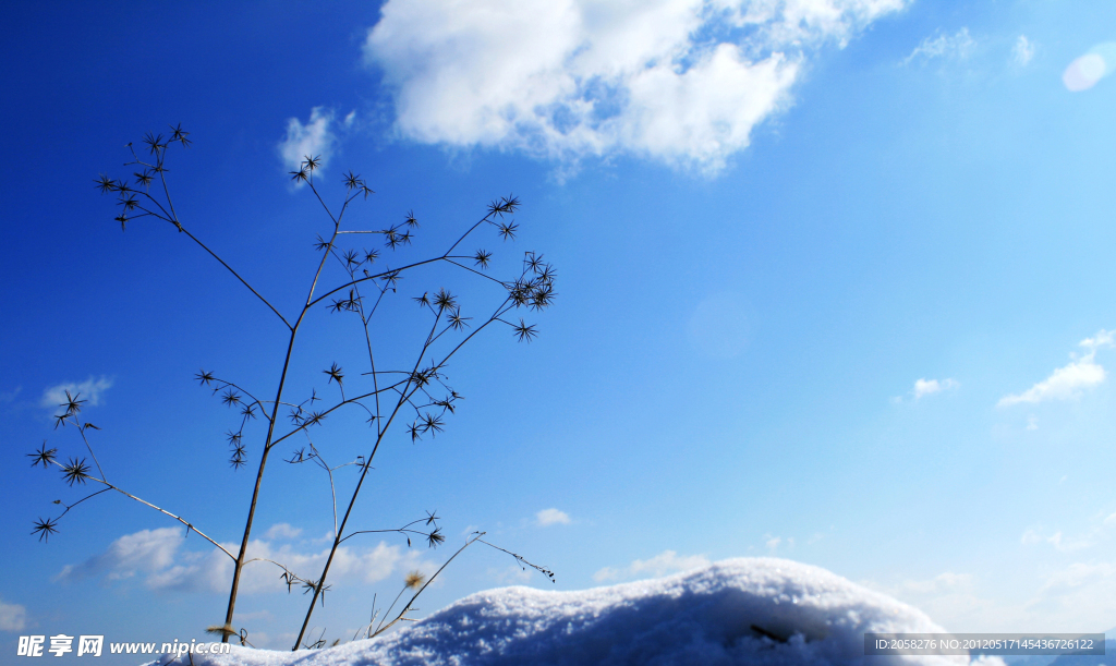 雪景