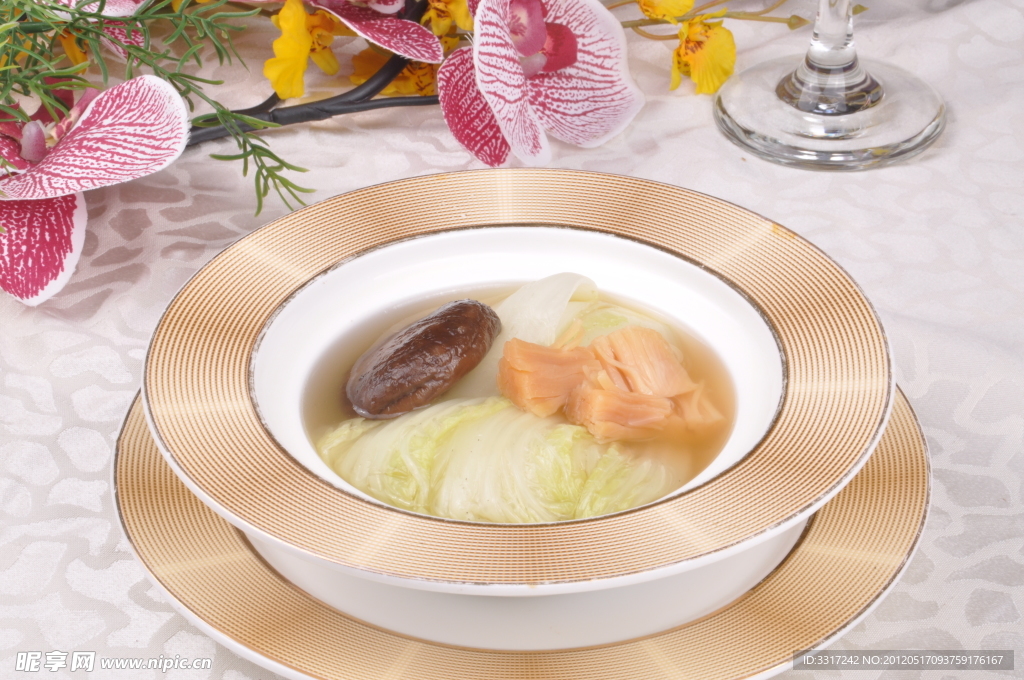 金瑶娃娃菜