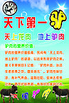 天下第一驴