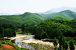 密林与清流