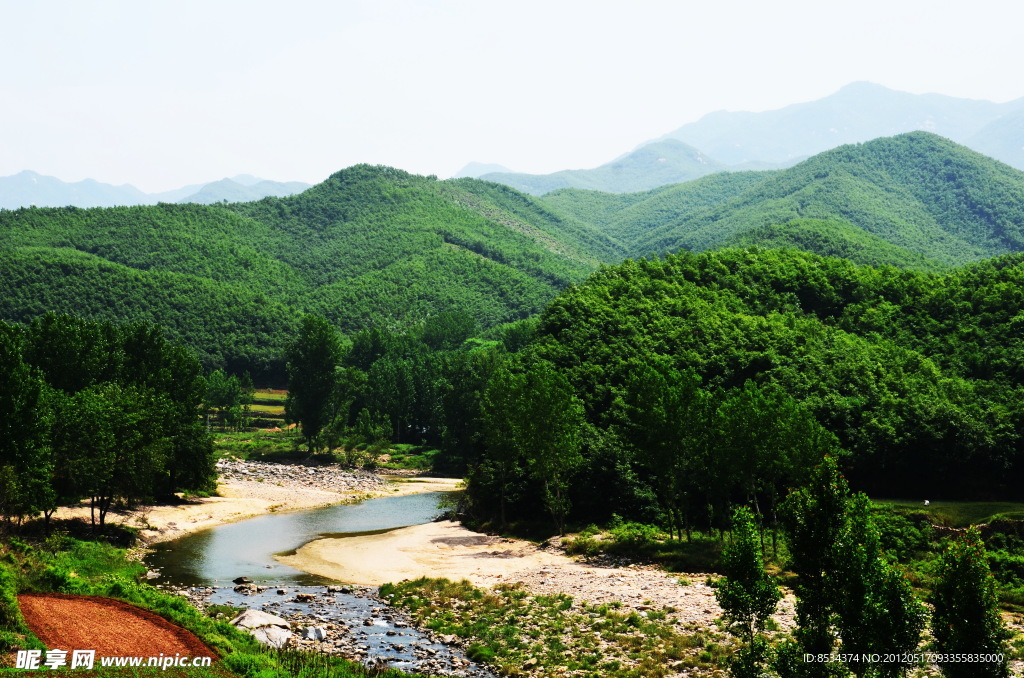 密林与清流