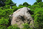 五垛的山色